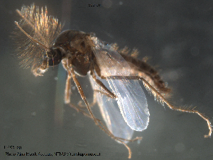  ( - Finnmark465)  @12 [ ] CreativeCommons - Attribution Non-Commercial Share-Alike (2012) NTNU Museum of Natural History and Archaeology NTNU Museum of Natural History and Archaeology