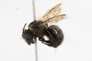  ( - CHU05-BEE-002)  @13 [ ] Unspecified (default): All Rights Reserved  Unspecified Unspecified