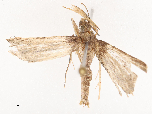  ( - CBG-B07605-B07)  @11 [ ] CreativeCommons - Attribution Share - Alike (2025) CBG Photography Group Centre for Biodiversity Genomics