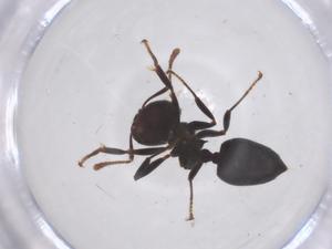  ( - CBG-B10801-C08)  @11 [ ] CreativeCommons - Attribution Share - Alike (2025) Centre for Biodiversity Genomics Centre for Biodiversity Genomics