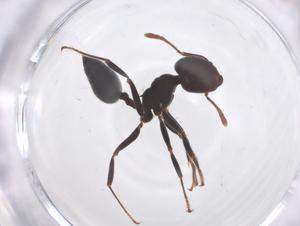  ( - CBG-B10837-G01)  @11 [ ] CreativeCommons - Attribution Share - Alike (2025) Centre for Biodiversity Genomics Centre for Biodiversity Genomics