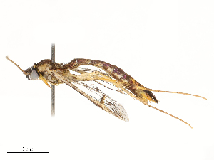  ( - CBG-B19981-B07)  @11 [ ] CreativeCommons - Attribution Share - Alike (2025) CBG Photography Group Centre for Biodiversity Genomics