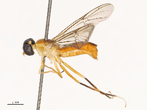  ( - CBG-B21616-H10)  @11 [ ] CreativeCommons - Attribution Share - Alike (2025) CBG Photography Group Centre for Biodiversity Genomics