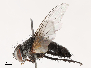  ( - CBG-B00468-A03)  @11 [ ] CreativeCommons - Attribution Share - Alike (2025) CBG Photography Group Centre for Biodiversity Genomics