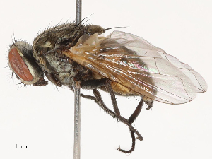  ( - CBG-B00468-C04)  @11 [ ] CreativeCommons - Attribution Share - Alike (2025) CBG Photography Group Centre for Biodiversity Genomics