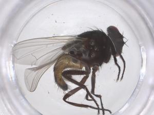  ( - CBG-B00550-F01)  @11 [ ] CreativeCommons - Attribution Share - Alike (2025) Centre for Biodiversity Genomics Centre for Biodiversity Genomics