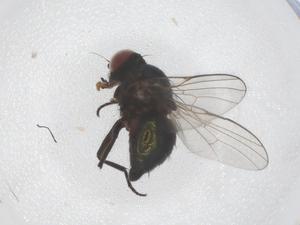  ( - CBG-B00640-F03)  @11 [ ] CreativeCommons - Attribution Share - Alike (2025) Centre for Biodiversity Genomics Centre for Biodiversity Genomics