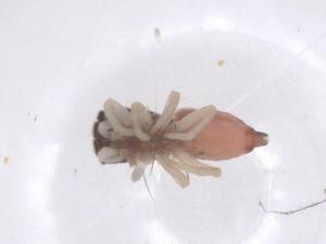  ( - CBG-B00643-F08)  @11 [ ] CreativeCommons - Attribution Share - Alike (2025) Centre for Biodiversity Genomics Centre for Biodiversity Genomics