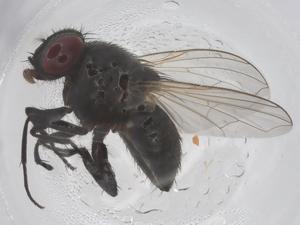  ( - CBG-B01259-E09)  @11 [ ] CreativeCommons - Attribution Share - Alike (2025) Centre for Biodiversity Genomics Centre for Biodiversity Genomics