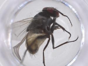  ( - CBG-B02142-D05)  @11 [ ] CreativeCommons - Attribution Share - Alike (2025) Centre for Biodiversity Genomics Centre for Biodiversity Genomics