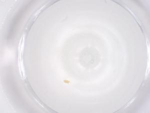  ( - CBG-B02151-F07)  @11 [ ] CreativeCommons - Attribution Share - Alike (2025) Centre for Biodiversity Genomics Centre for Biodiversity Genomics