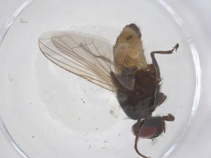  ( - CBG-B02153-C06)  @11 [ ] CreativeCommons - Attribution Share - Alike (2025) Centre for Biodiversity Genomics Centre for Biodiversity Genomics