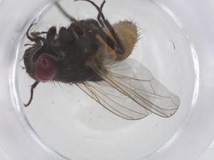  ( - CBG-B02153-D08)  @11 [ ] CreativeCommons - Attribution Share - Alike (2025) Centre for Biodiversity Genomics Centre for Biodiversity Genomics