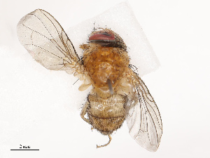  ( - CBG-B14647-B01)  @11 [ ] CreativeCommons - Attribution Share - Alike (2025) CBG Photography Group Centre for Biodiversity Genomics