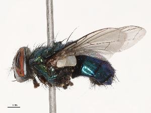  ( - CBG-B22924-F06)  @11 [ ] CreativeCommons - Attribution Share - Alike (2025) CBG Photography Group Centre for Biodiversity Genomics