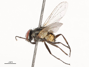  ( - CBG-B22940-E11)  @11 [ ] CreativeCommons - Attribution Share - Alike (2025) CBG Photography Group Centre for Biodiversity Genomics