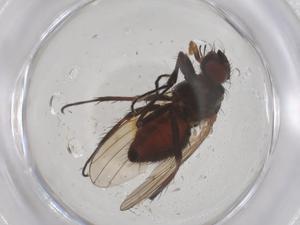  ( - CBG-B22984-E07)  @11 [ ] CreativeCommons - Attribution Share - Alike (2025) Centre for Biodiversity Genomics Centre for Biodiversity Genomics