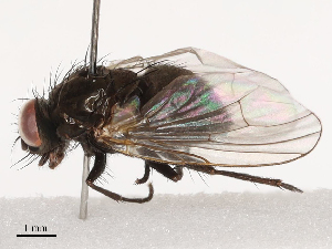  ( - CBG-B02494-A04)  @11 [ ] CreativeCommons - Attribution Share - Alike (2025) CBG Photography Group Centre for Biodiversity Genomics