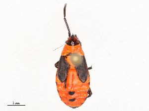  ( - CBG-B02494-F04)  @11 [ ] CreativeCommons - Attribution Share - Alike (2025) CBG Photography Group Centre for Biodiversity Genomics