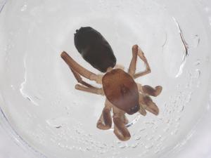  ( - CBG-B05043-C08)  @11 [ ] CreativeCommons - Attribution Share - Alike (2025) Centre for Biodiversity Genomics Centre for Biodiversity Genomics