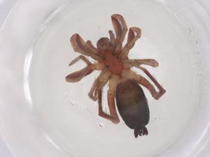  ( - CBG-B05114-A03)  @11 [ ] CreativeCommons - Attribution Share - Alike (2025) Centre for Biodiversity Genomics Centre for Biodiversity Genomics