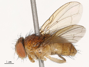  ( - CBG-B14775-H04)  @11 [ ] CreativeCommons - Attribution Share - Alike (2025) CBG Photography Group Centre for Biodiversity Genomics
