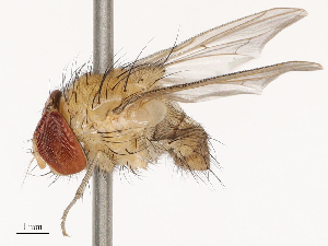  ( - CBG-B14775-H05)  @11 [ ] CreativeCommons - Attribution Share - Alike (2025) CBG Photography Group Centre for Biodiversity Genomics