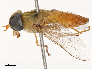  ( - CBG-B22917-F10)  @11 [ ] CreativeCommons - Attribution Share - Alike (2025) CBG Photography Group Centre for Biodiversity Genomics
