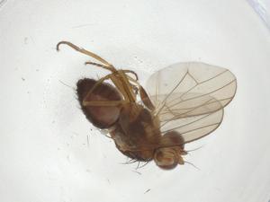  ( - CBG-A10238-H02)  @11 [ ] CreativeCommons - Attribution Share - Alike (2023) Centre for Biodiversity Genomics Centre for Biodiversity Genomics