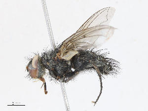  ( - CBG-A10759-B04)  @11 [ ] CreativeCommons - Attribution Share - Alike (2023) CBG Photography Group Centre for Biodiversity Genomics