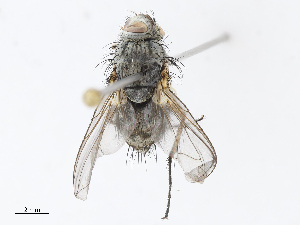  ( - CBG-A10759-C12)  @11 [ ] CreativeCommons - Attribution Share - Alike (2023) CBG Photography Group Centre for Biodiversity Genomics