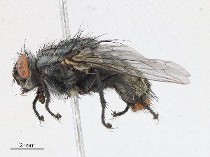  ( - CBG-A10762-E03)  @11 [ ] CreativeCommons - Attribution Share - Alike (2023) CBG Photography Group Centre for Biodiversity Genomics