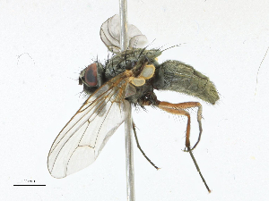  ( - CBG-A13260-G12)  @11 [ ] CreativeCommons - Attribution Share-Alike (2023) CBG Photography Group Centre for Biodiversity Genomics