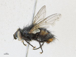  ( - CBG-A21634-C10)  @11 [ ] CreativeCommons - Attribution Share - Alike (2023) CBG Photography Group Centre for Biodiversity Genomics