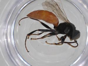  ( - CBG-A19649-F07)  @11 [ ] CreativeCommons - Attribution Share - Alike (2023) Centre for Biodiversity Genomics Centre for Biodiversity Genomics