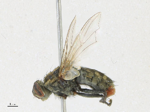  ( - CBG-A21639-E08)  @11 [ ] CreativeCommons - Attribution Share - Alike (2023) CBG Photography Group Centre for Biodiversity Genomics