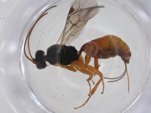  ( - CBG-A22014-E07)  @11 [ ] CreativeCommons - Attribution Share - Alike (2023) Centre for Biodiversity Genomics Centre for Biodiversity Genomics