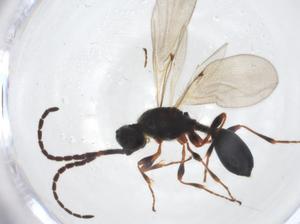  ( - CBG-A22068-G02)  @11 [ ] CreativeCommons - Attribution Share - Alike (2023) Centre for Biodiversity Genomics Centre for Biodiversity Genomics