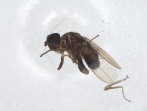  ( - CBG-A22472-B08)  @11 [ ] CreativeCommons - Attribution Share - Alike (2023) Centre for Biodiversity Genomics Centre for Biodiversity Genomics