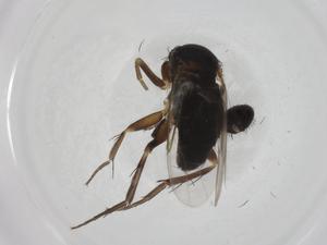  ( - CBG-A24403-B10)  @11 [ ] CreativeCommons - Attribution Share - Alike (2023) Centre for Biodiversity Genomics Centre for Biodiversity Genomics