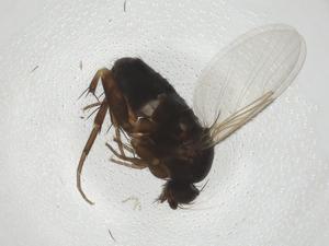  ( - CBG-A24983-E03)  @11 [ ] CreativeCommons - Attribution Share - Alike (2023) Centre for Biodiversity Genomics Centre for Biodiversity Genomics