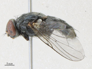  ( - CBG-A30014-E08)  @11 [ ] CreativeCommons - Attribution Share - Alike (2024) CBG Photography Group Centre for Biodiversity Genomics