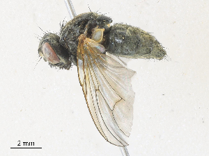  ( - CBG-A30122-D06)  @11 [ ] CreativeCommons - Attribution Share - Alike (2024) CBG Photography Group Centre for Biodiversity Genomics