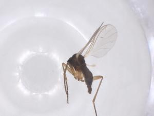  ( - CBG-A51740-B05)  @11 [ ] CreativeCommons - Attribution Share - Alike (2024) Centre for Biodiversity Genomics Centre for Biodiversity Genomics