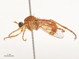  ( - CBG-A51879-G03)  @11 [ ] CreativeCommons - Attribution Share - Alike (2024) CBG Photography Group Centre for Biodiversity Genomics