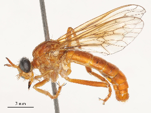  ( - CBG-A51879-G04)  @11 [ ] CreativeCommons - Attribution Share - Alike (2024) CBG Photography Group Centre for Biodiversity Genomics