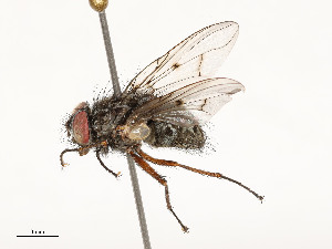  ( - CBG-A51958-F07)  @11 [ ] CreativeCommons - Attribution Share - Alike (2024) CBG Photography Group Centre for Biodiversity Genomics