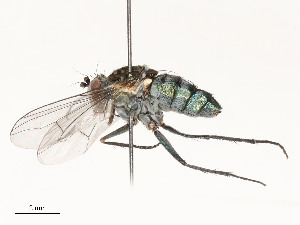  ( - CBG-A51990-G10)  @11 [ ] CreativeCommons - Attribution Share - Alike (2024) CBG Photography Group Centre for Biodiversity Genomics