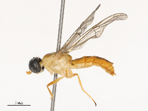  ( - CBG-B21730-B04)  @11 [ ] CreativeCommons - Attribution Share - Alike (2025) CBG Photography Group Centre for Biodiversity Genomics