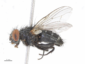  ( - CBG-A06225-H05)  @11 [ ] CreativeCommons - Attribution (2023) CBG Photography Group Centre for Biodiversity Genomics